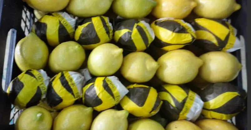 Adalia Lemon