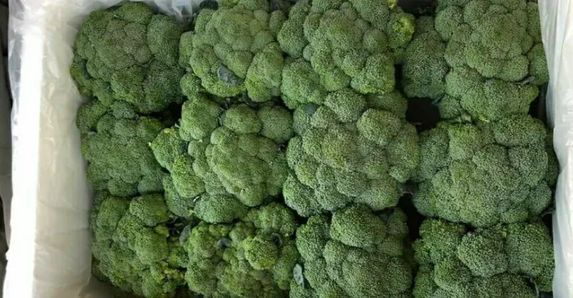 Broccoli
