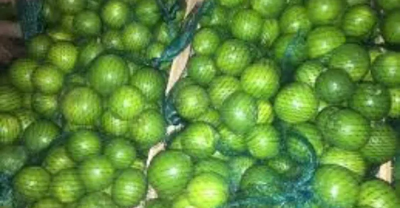Lemon