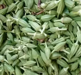 Okra