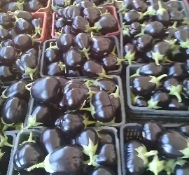 Aubergine (Rumi)