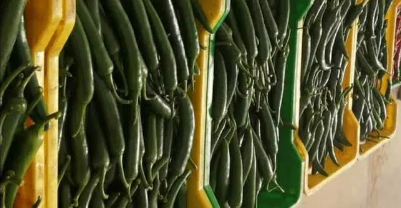 Green Chilli