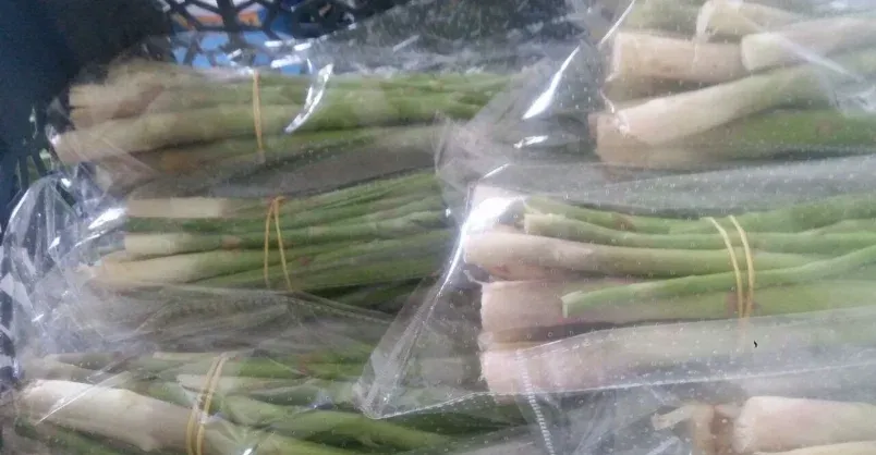 Lemongrass