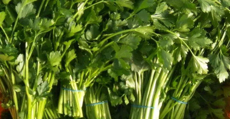 Parsley