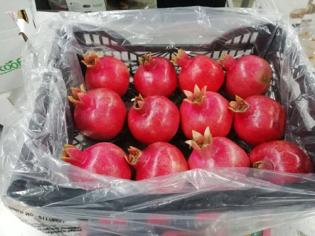 Pomegranate