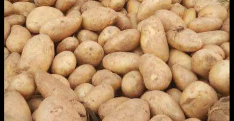Potatoes