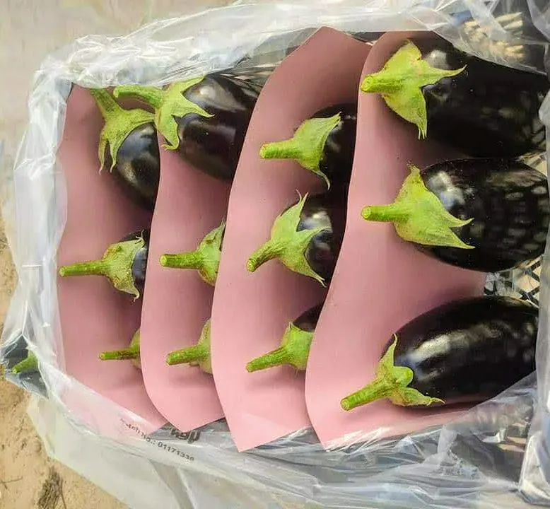 Aubergine (Rumi)