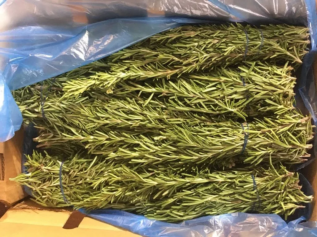 Rosemary