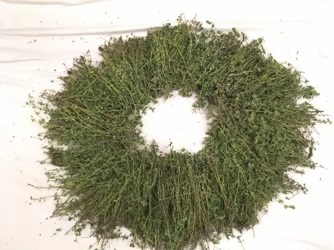 Thyme