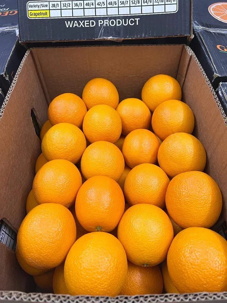 Valencia Oranges