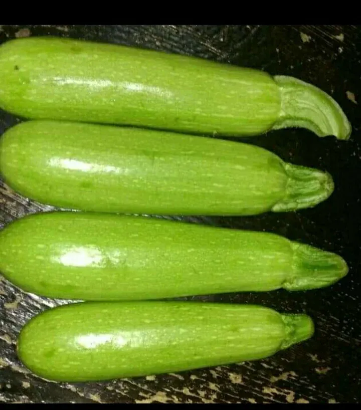 Zuchini 1.webp